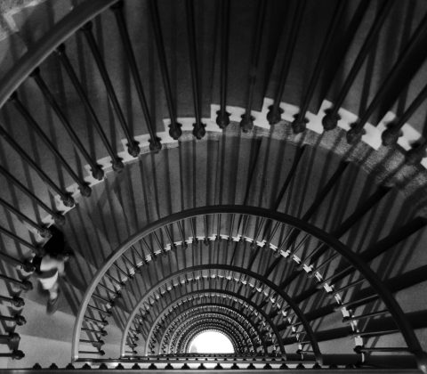 Lines
