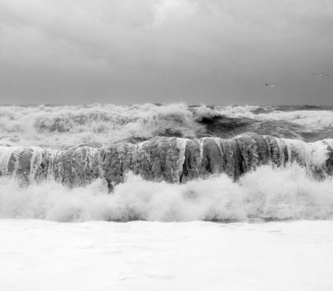 Waves