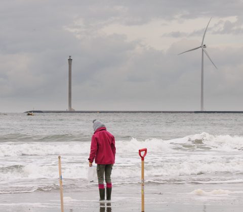 Water & wind