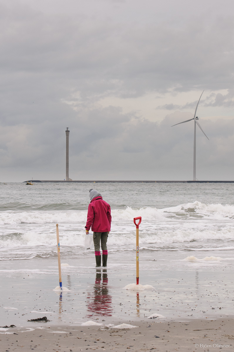 Water & wind